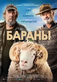 Постер к фильму "Бараны" #485979