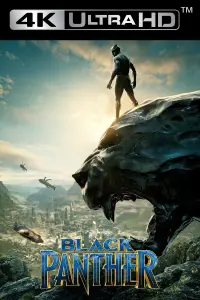Постер к фильму "Чёрная Пантера" #219896