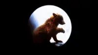 Задник к фильму "Медведь" #246290