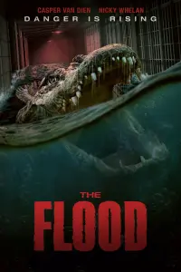 Постер к фильму "Наводнение" #16424