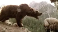 Задник к фильму "Медведь" #246287