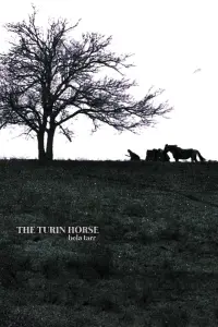 Постер к фильму "Туринская лошадь" #201330