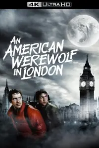 Постер к фильму "Американский оборотень в Лондоне" #50317