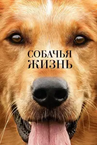 Собачья жизнь