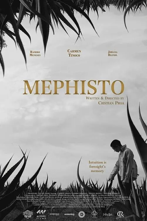 Постер к фильму "Mephisto"