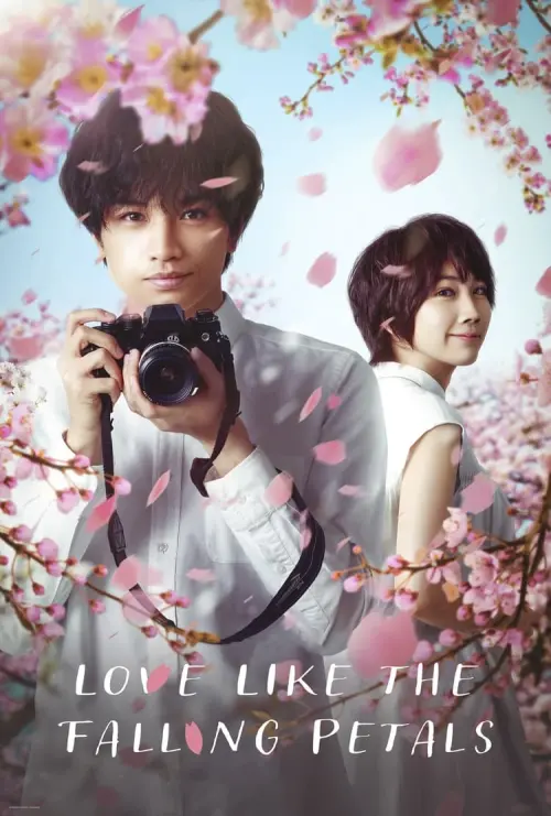 Постер к фильму "Моя любимая словно цветок сакуры"