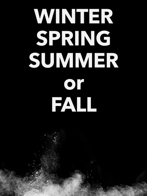 Постер к фильму "Winter Spring Summer or Fall"