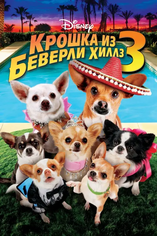 Постер к фильму "Крошка из Беверли-Хиллз 3"