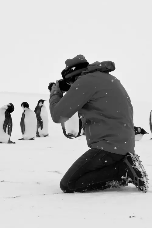 Постер к фильму "Antarctica Calling"