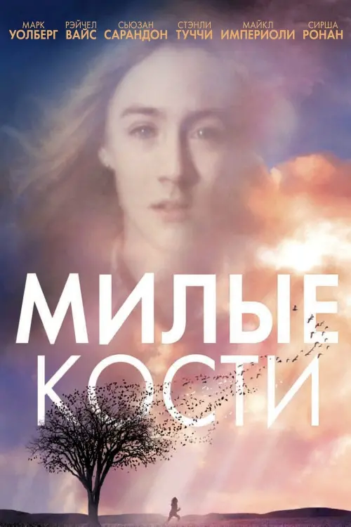 Постер к фильму "Милые кости 2009"