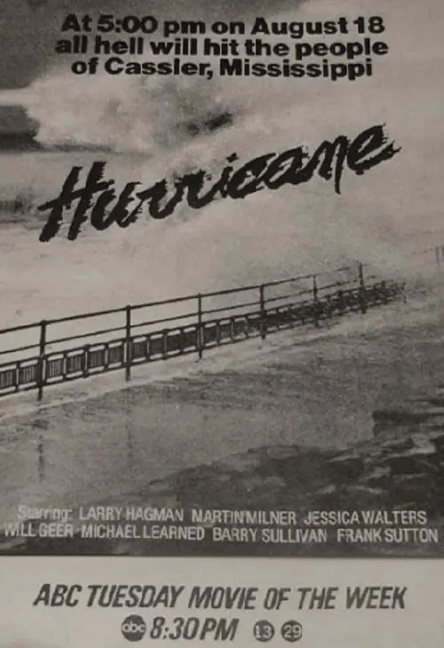 Постер к фильму "Hurricane"