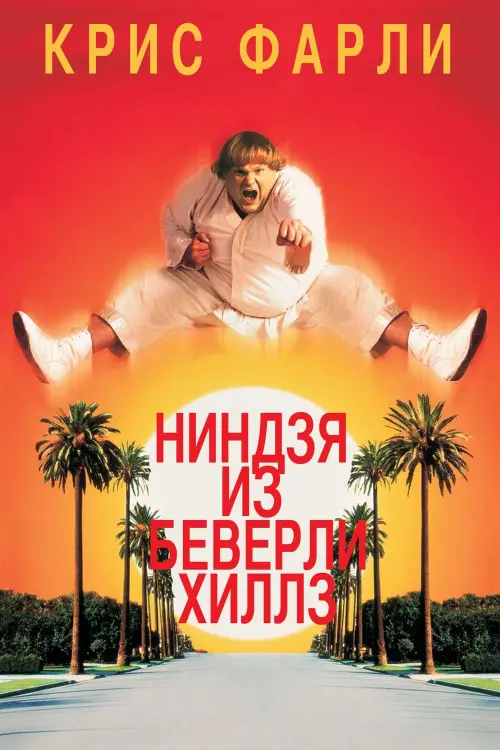 Постер к фильму "Ниндзя из Беверли Хиллз 1997"