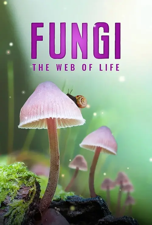 Постер к фильму "Fungi: Web of Life"