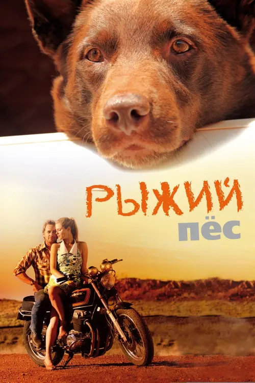 Постер к фильму "Рыжий пёс"