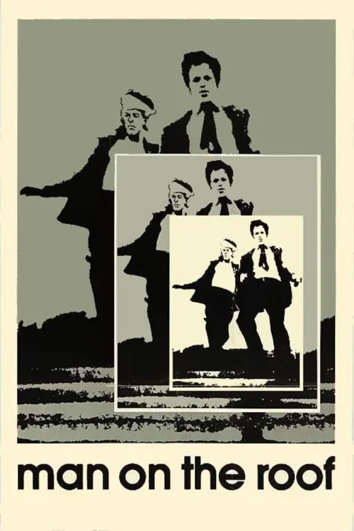 Постер к фильму "Человек на крыше"