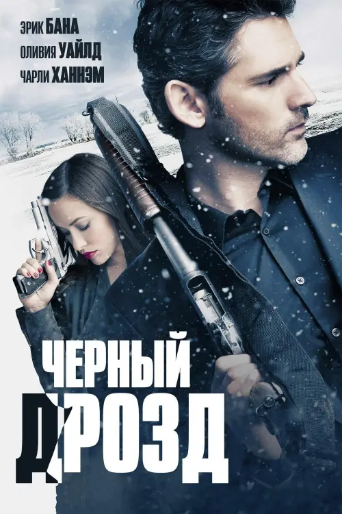 Постер к фильму "Чёрный дрозд 2012"