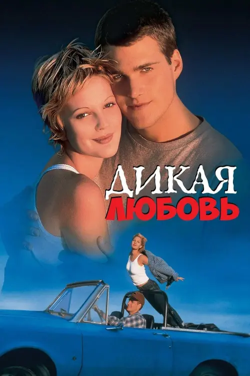 Постер к фильму "Дикая любовь 1995"