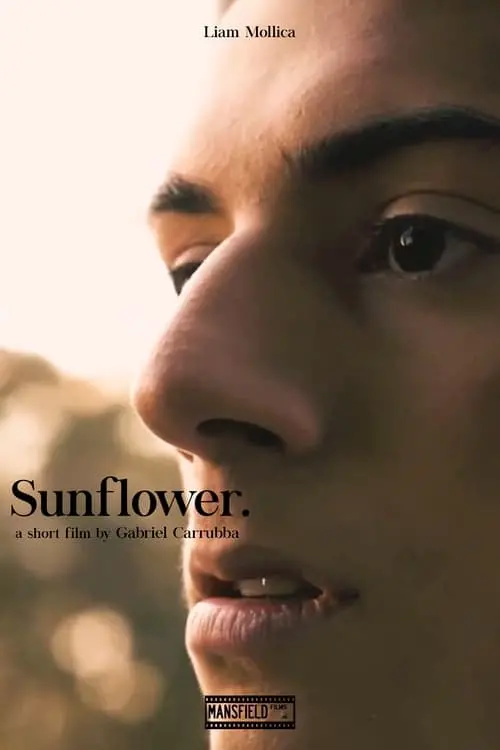 Постер к фильму "Sunflower"