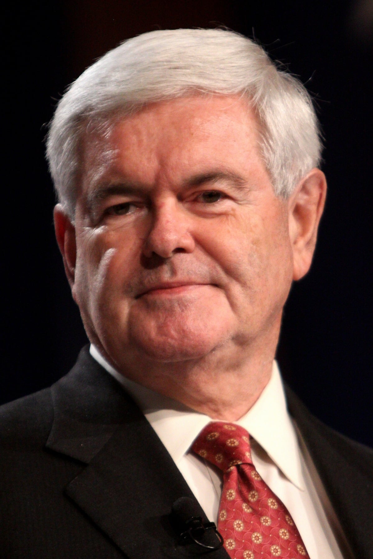 Фото Ньют Гингрич (Newt Gingrich)