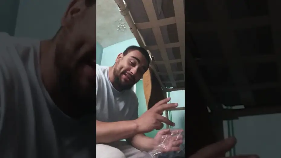 Видео к фильму Мусорщик | the album tour continues.