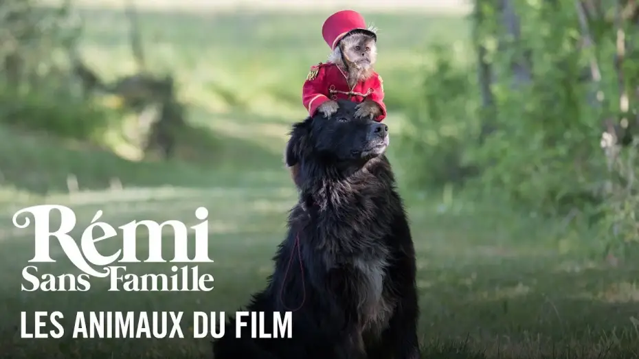 Видео к фильму Приключения Реми | Les animaux - R&eacute;mi sans famille