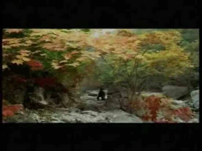 Видео к фильму Весна, лето, осень, зима... и снова весна | Printemps, &eacute;t&eacute;, automne, hiver... et printemps - 봄, 여름, 가을, 겨울 그리고 봄