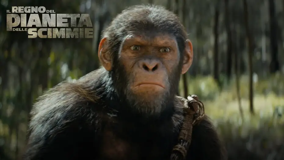 Видео к фильму Планета обезьян: Новое царство | Il Regno del Pianeta delle Scimmie | IMAX Trailer | Dall&rsquo;8 Maggio al Cinema