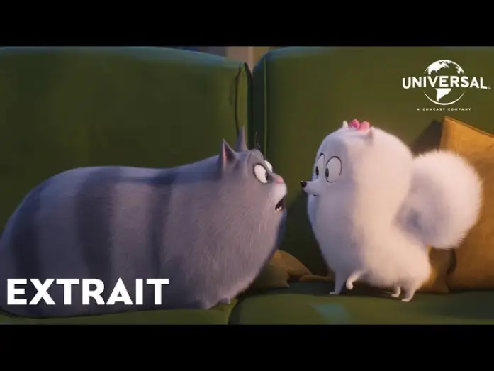 Видео к фильму Тайная жизнь домашних животных 2 | Comme des B&ecirc;tes 2 - Extrait : "Gidget remarque quelque chose" VOST