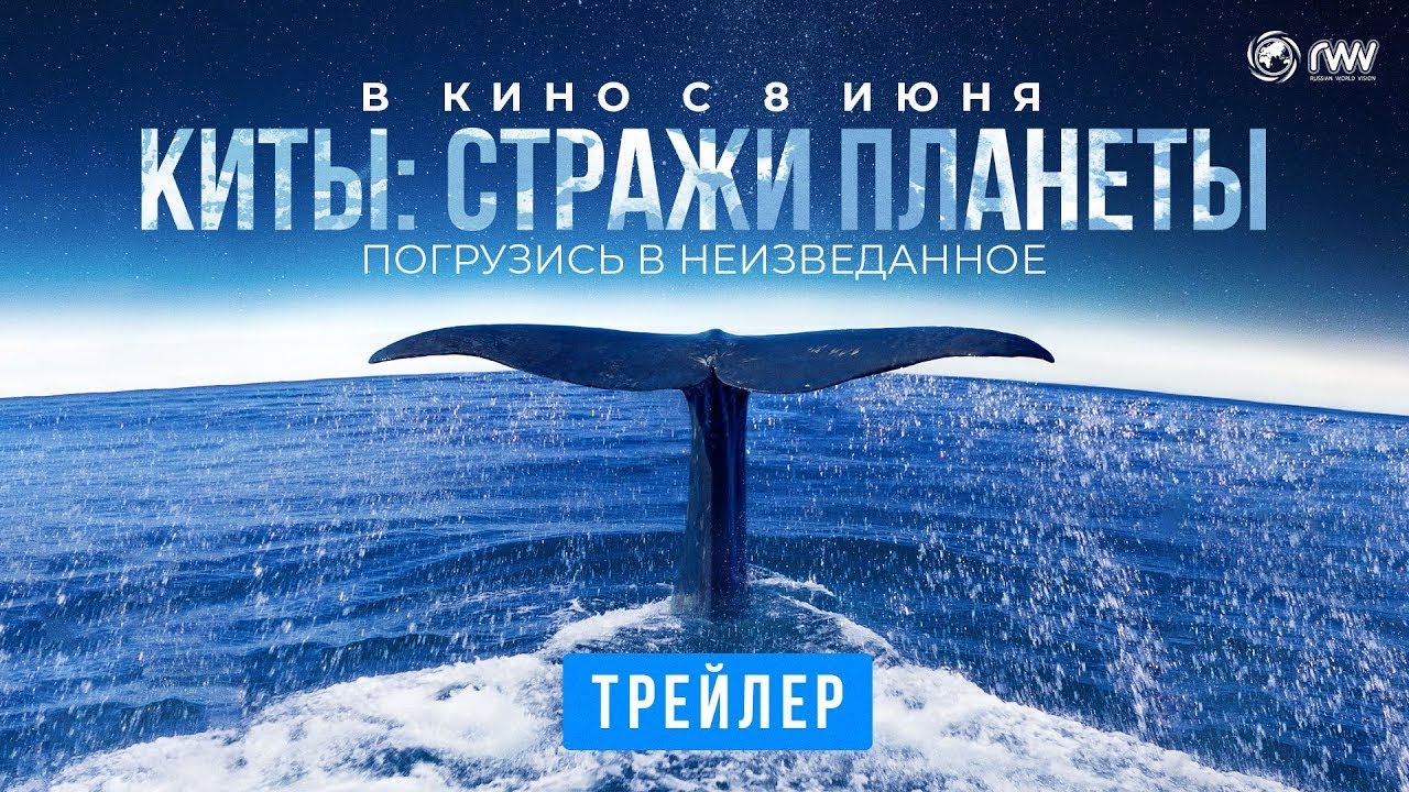 Видео к фильму Киты: Стражи планеты | трейлер французского познавательного фильма КИТЫ: СТРАЖИ ПЛАНЕТЫ, в кино с 8 июня