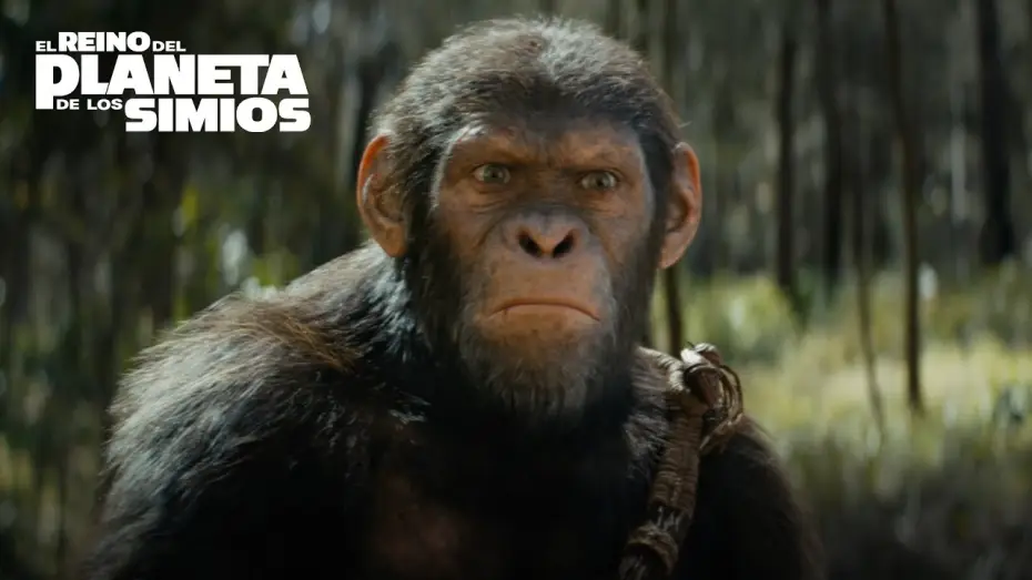 Видео к фильму Планета обезьян: Новое царство | V&iacute;vela en IMAX (en espa&ntilde;ol)