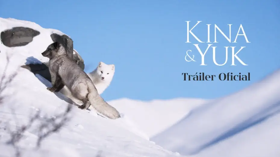 Видео к фильму Кина и Юк: Пушистые приключения | Tr&aacute;iler Oficial
