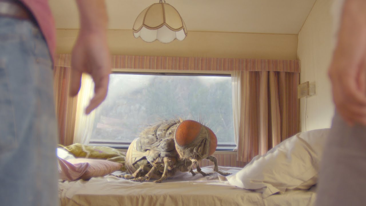 Видео к фильму Жвалы | &lsquo;Mandibles': First trailer for Quentin Dupieux&rsquo;s giant fly comedy (exclusive)