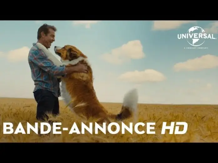 Видео к фильму Собачья жизнь 2 | Mes Autres Vies de Chien - Bande Annonce VF