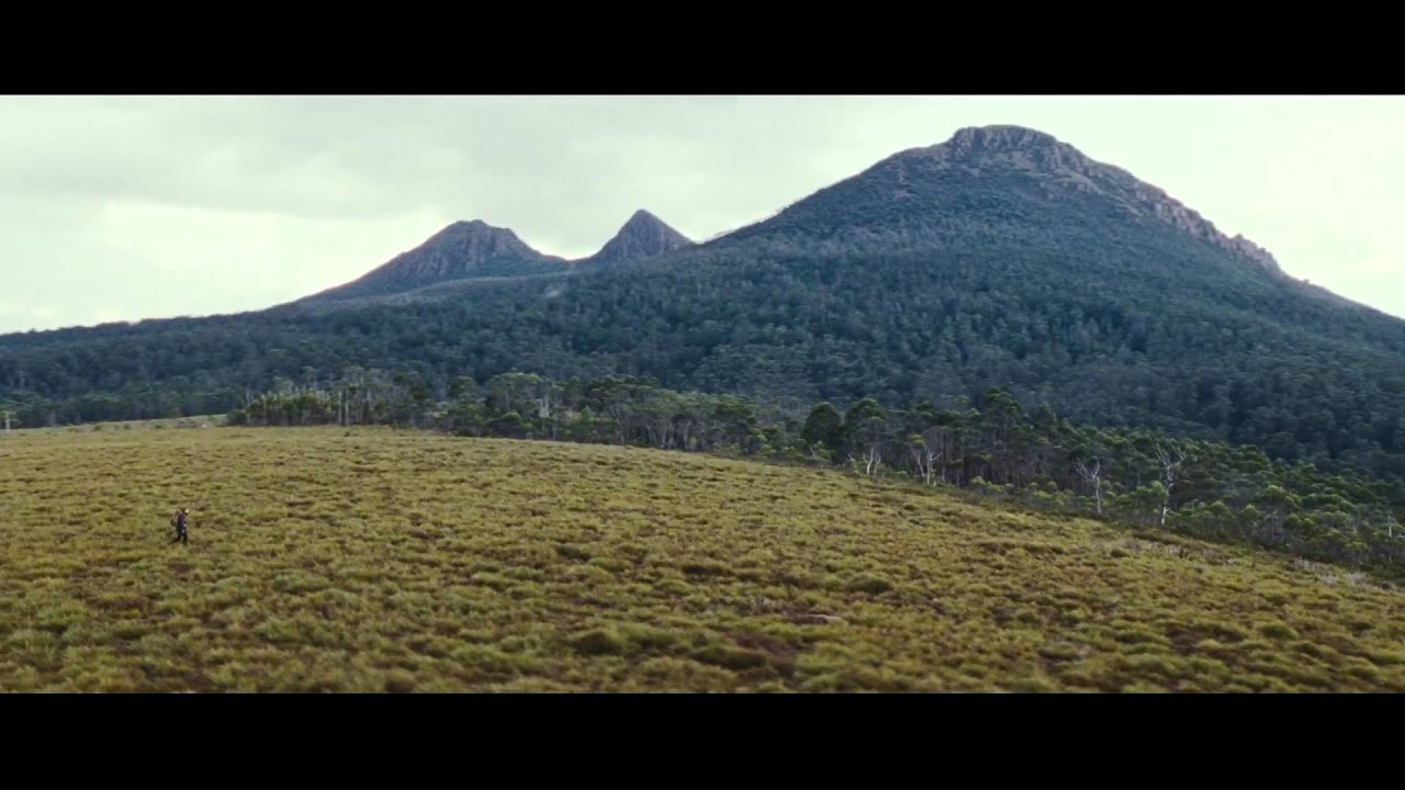 Видео к фильму Охотник | The Hunter (2011) - Official Trailer HD