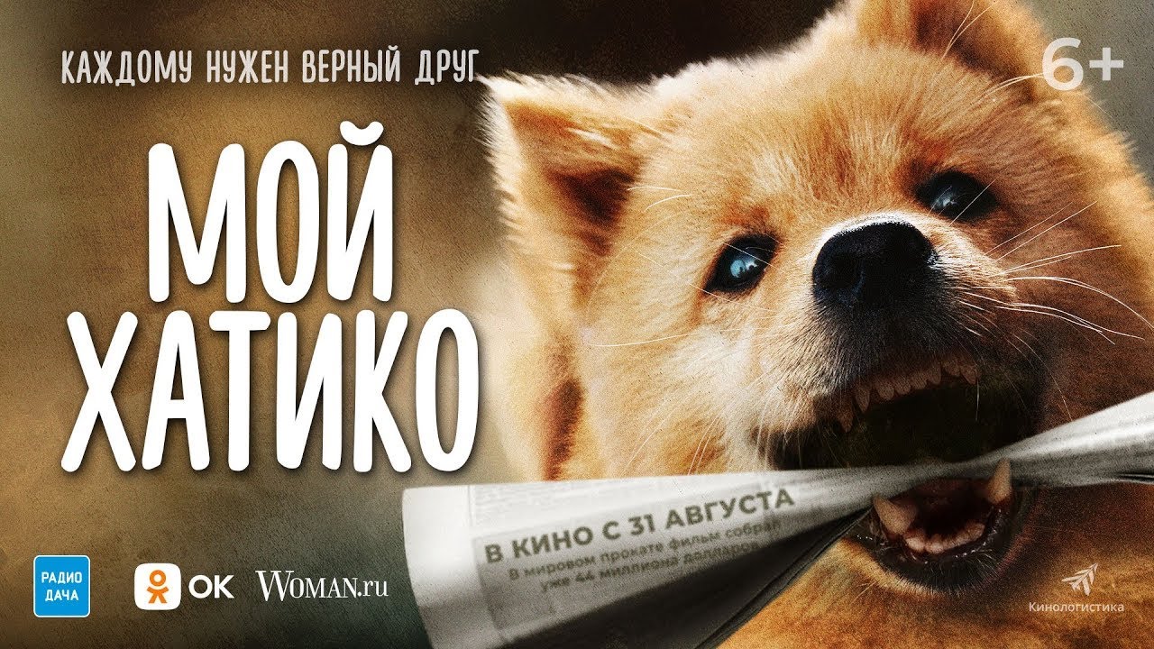 Видео к фильму Мой Хатико | трейлер китайской мелодрамы МОЙ ХАТИКО, в кино с 31 августа