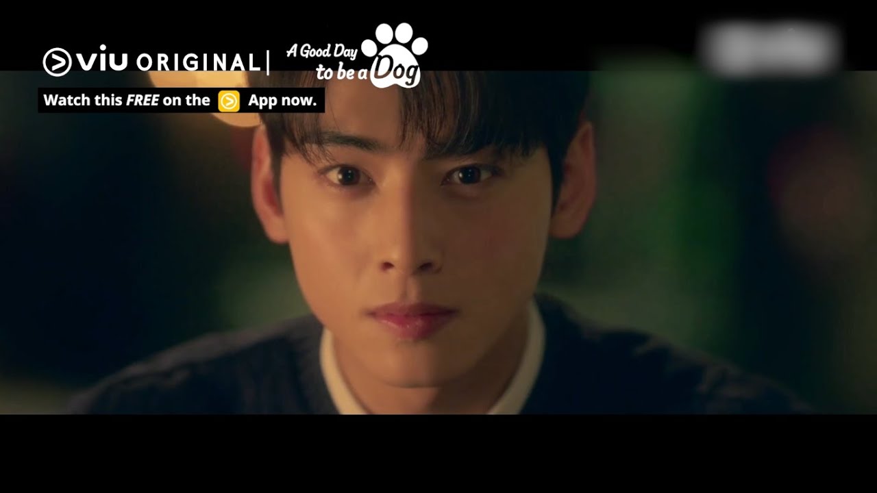 Видео к фильму Хвостатый переполох | Will Cha Eun Woo Kiss the Dog Version of Park Gyu Young? 🐶 | Viu Original, A Good Day to be a Dog