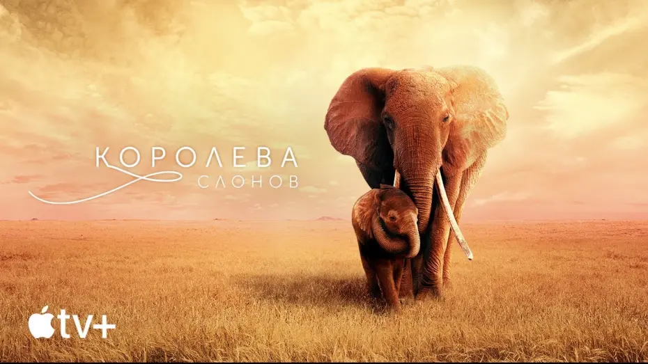 Видео к фильму Королева слонов | Официальный трейлер [Субтитры]