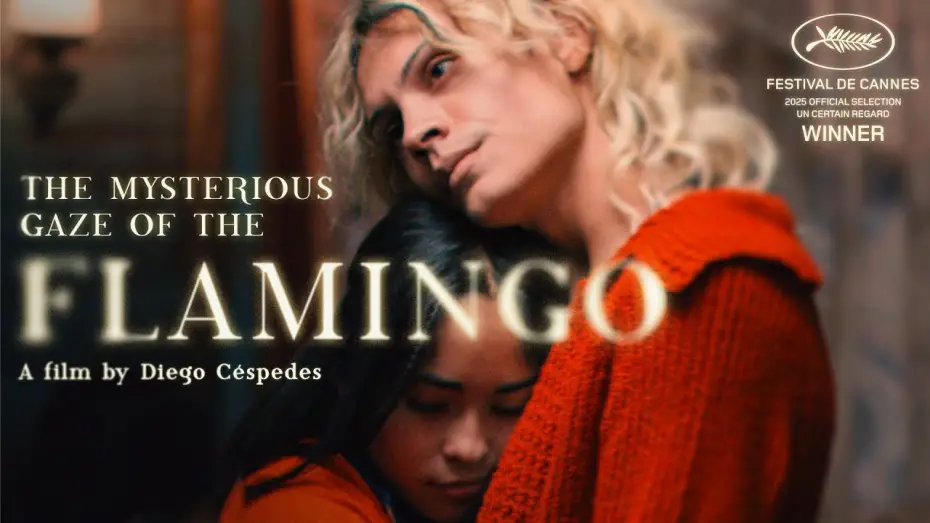 Видео к фильму La misteriosa mirada del flamenco | The Mysterious Gaze of the Flamingo - Trailer