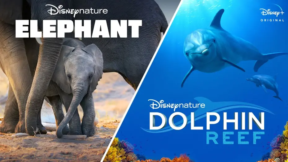 Видео к фильму Elephant | Disneynature&rsquo;s Elephant & Dolphin Reef | Official Trailer | Disney+