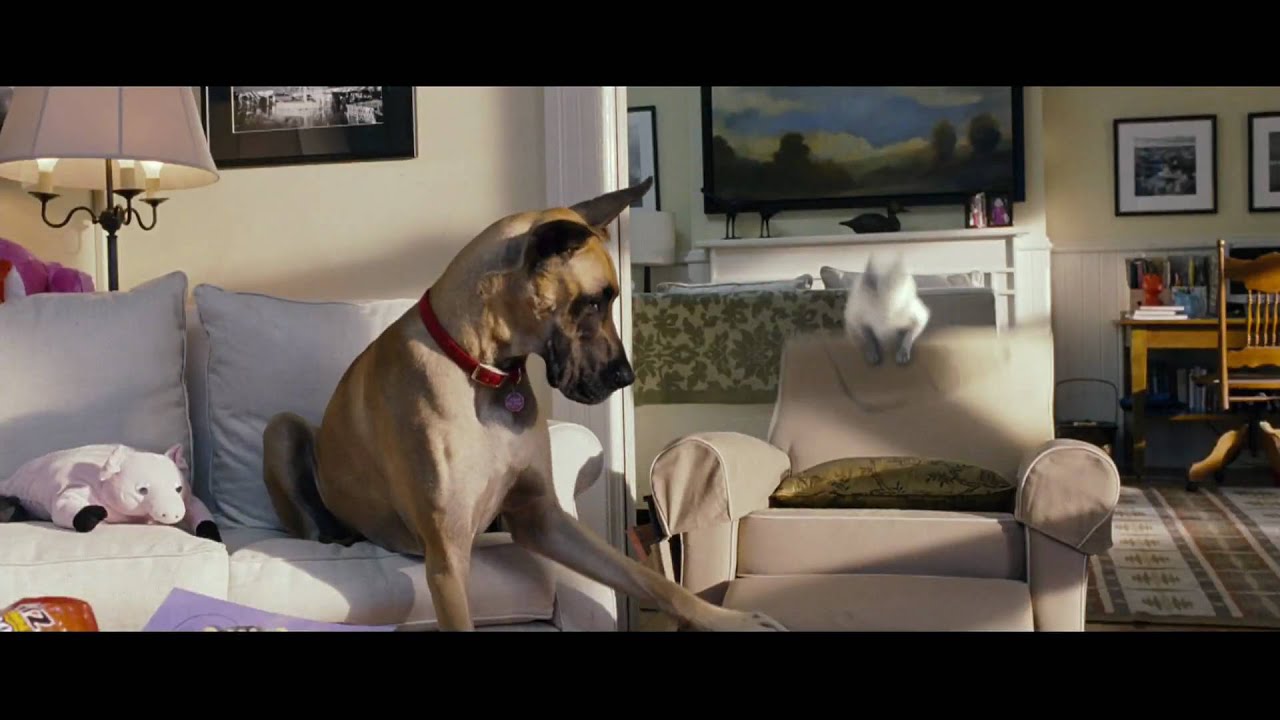 Видео к фильму Мармадюк | Marmaduke - In Theaters June 4! | Official Trailer (HD)  | 20th Century FOX