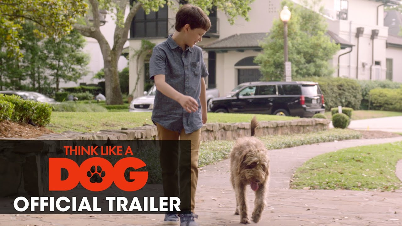 Видео к фильму Думай как собака | Think Like A Dog (2020 Movie) Official Trailer - Josh Duhamel, Megan Fox