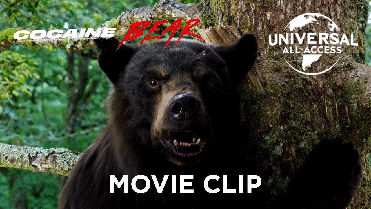 Видео к фильму Кокаиновый медведь | Cocaine Side Effects For Bears? Clip
