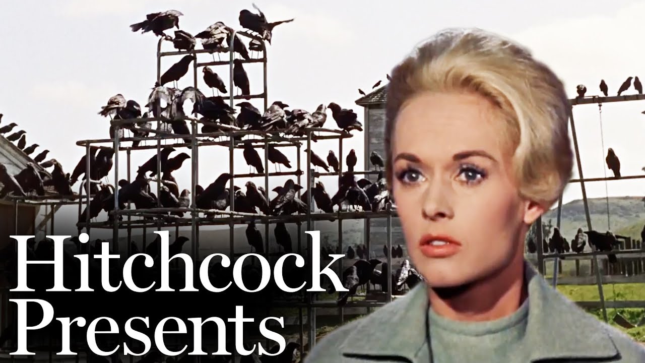 Видео к фильму Птицы | A Gathering Of Crows - The Birds (1963) | Hitchcock Presents