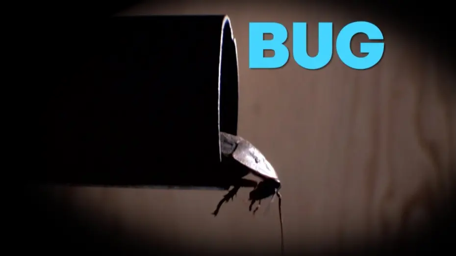 Видео к фильму Bug | BUG - Trailer - Movies! TV Network