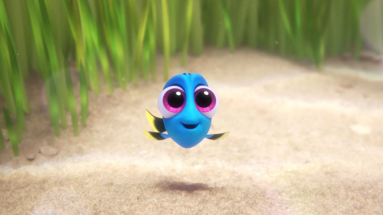 Видео к фильму В поисках Дори | Baby Dory