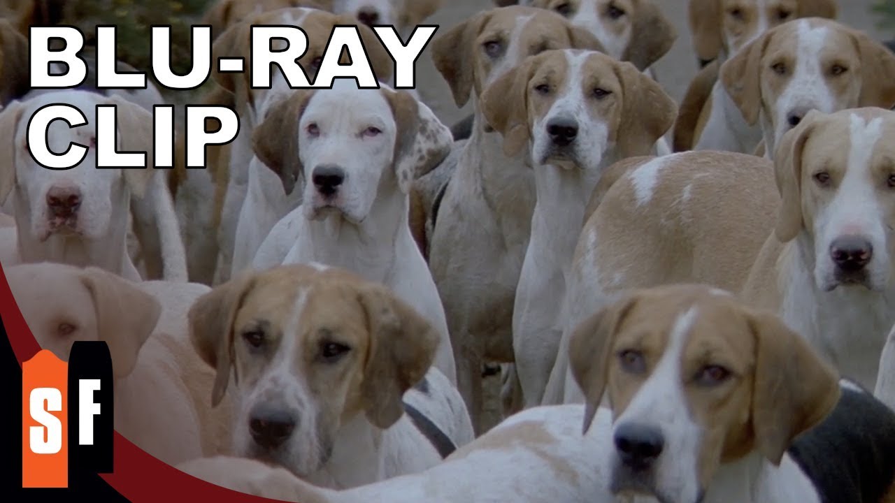 Видео к фильму Омен III: Последний конфликт | Puppy Overload