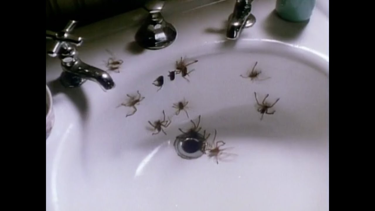 Видео к фильму Боязнь пауков | Arachnophobia (1990) Theatrical Trailer