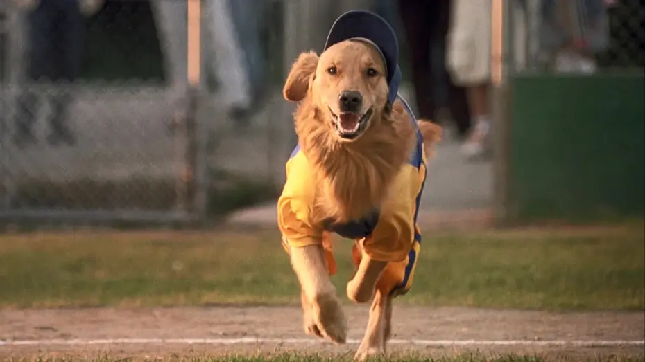 Видео к фильму Король воздуха: Седьмая подача | Air Bud 4: Seventh Inning Fetch (2002) ORIGINAL TRAILER [HD]