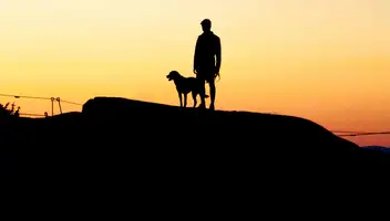 Главные герои в короткометражный фильм (ВГИК, мастерская братьев Котт)