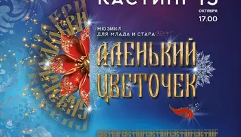 КАСТИНГ в новогодний мюзикл &laquo;АЛЕНЬКИЙ ЦВЕТОЧЕК&raquo;
